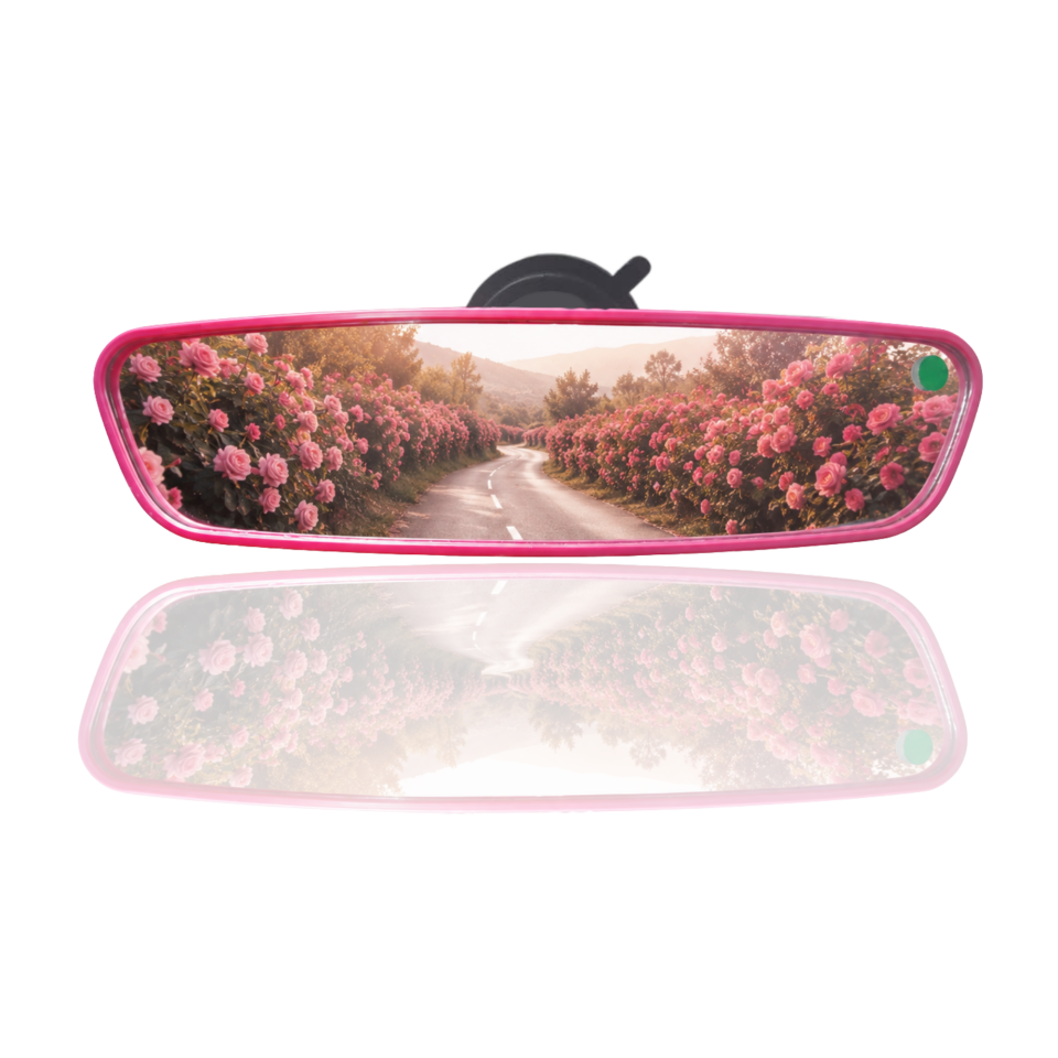 TAKGÖR Pırlanta-5 Vantuzlu Universal Dikiz Aynası 25x6 Cm Pembe