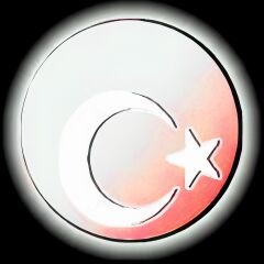 Mercek Ay Yıldız Işıklı İç Dikiz Aynası 120 mm